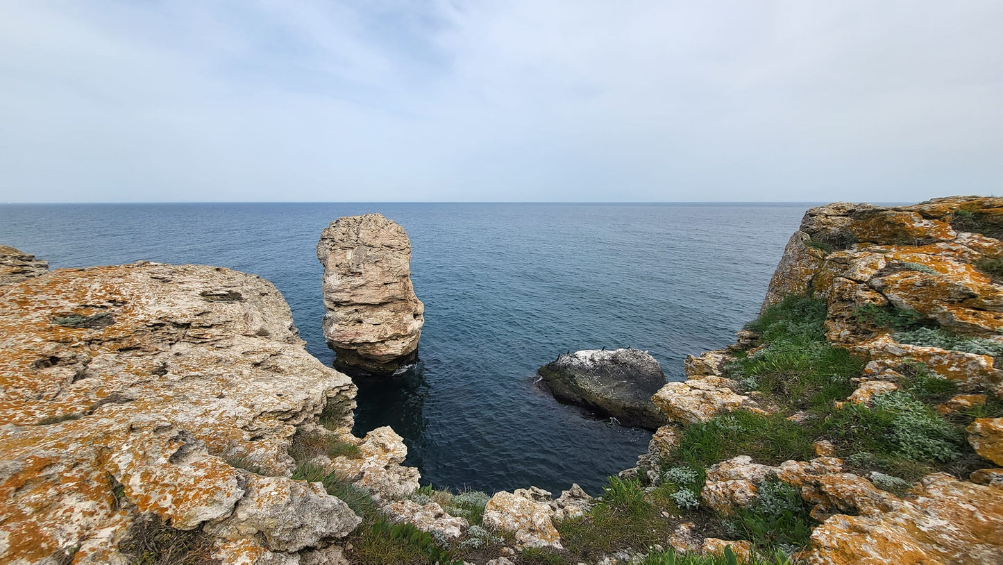 САМОСТОЯТЕЛНА КЪЩА ЗА ГОСТИ В С.ТЮЛЕНОВО