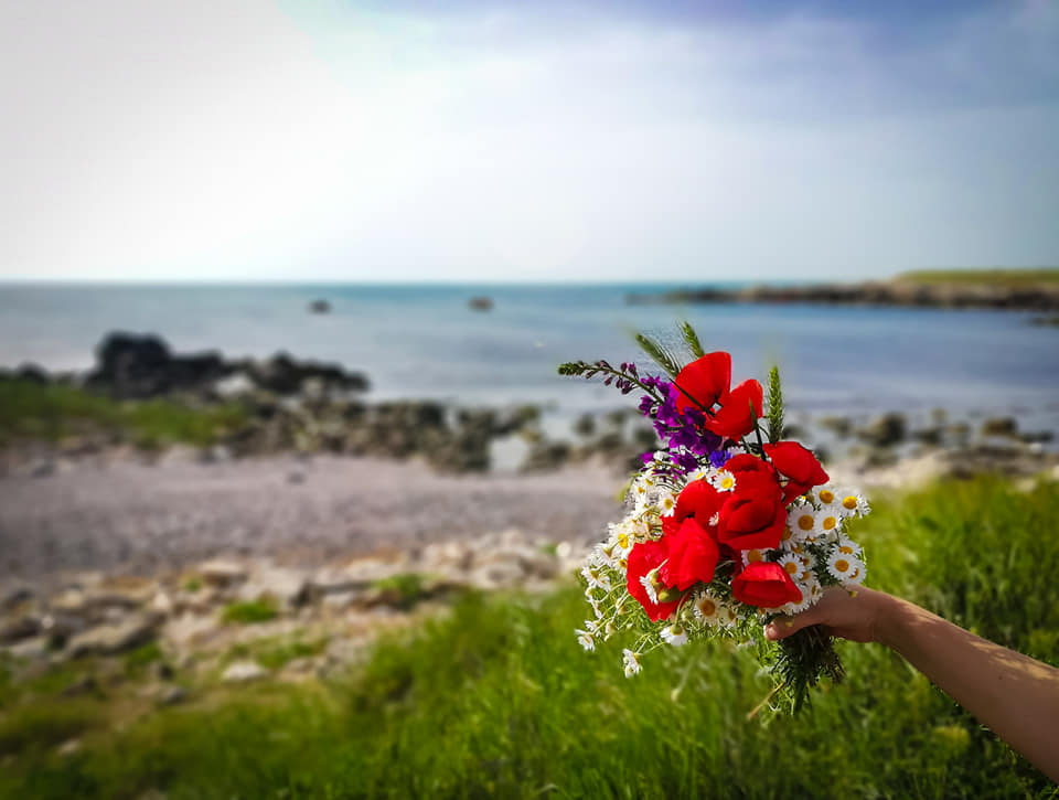 ПАРЦЕЛИ В ГР.ШАБЛА